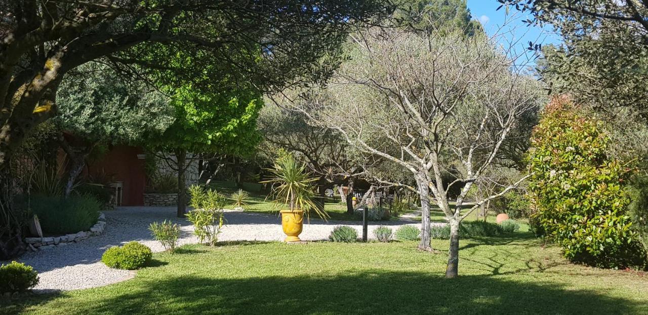 Pierres Blanches Bed & Breakfast Cotignac Exterior photo